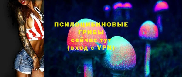 круглые Инсар