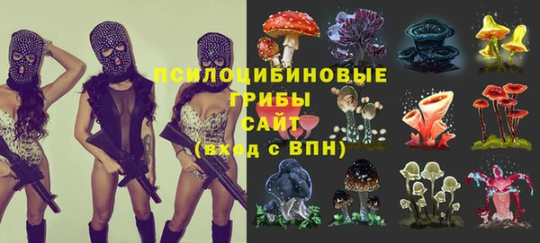 круглые Инсар